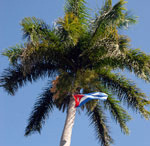 CubanitaSoy